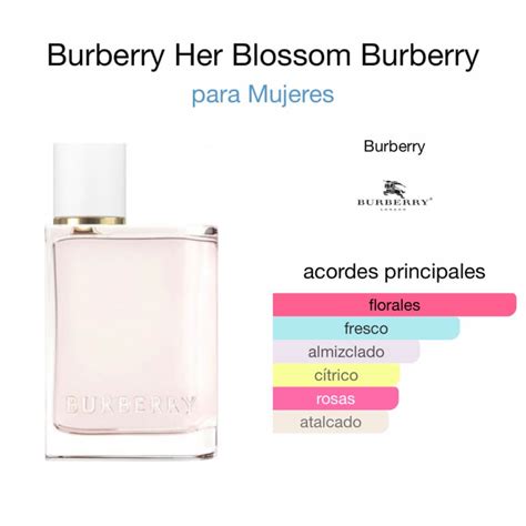 burberry her notas|burberry her original.